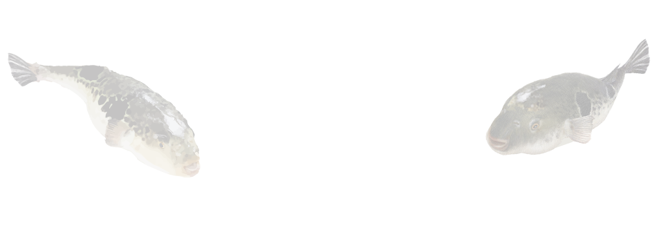 豊後水道の海の恵み とらふぐ